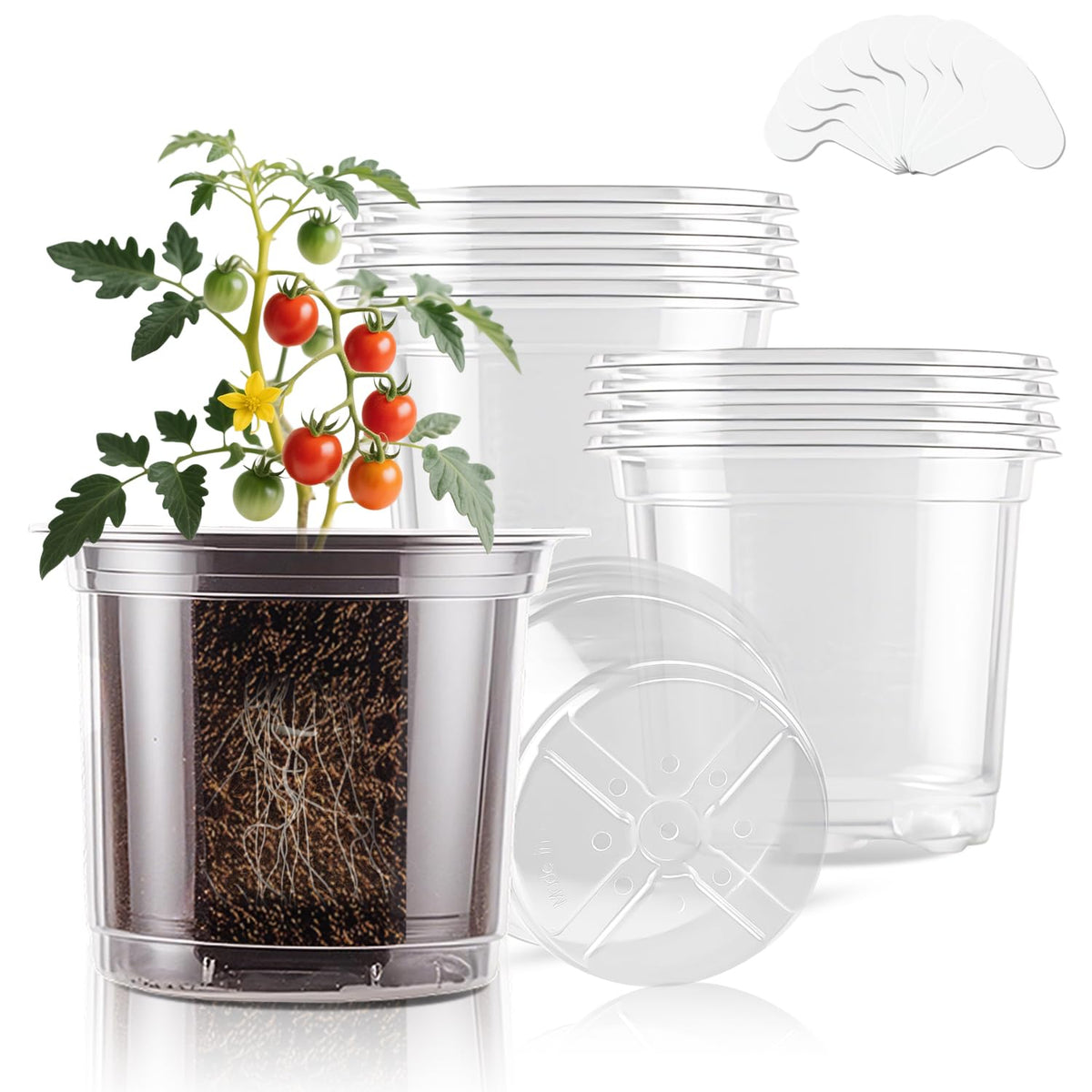 SupKing 5-inch clear pot with transparent walls for root observation and water management.