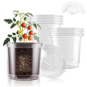 SupKing 5-inch clear pot with transparent walls for root observation and water management.