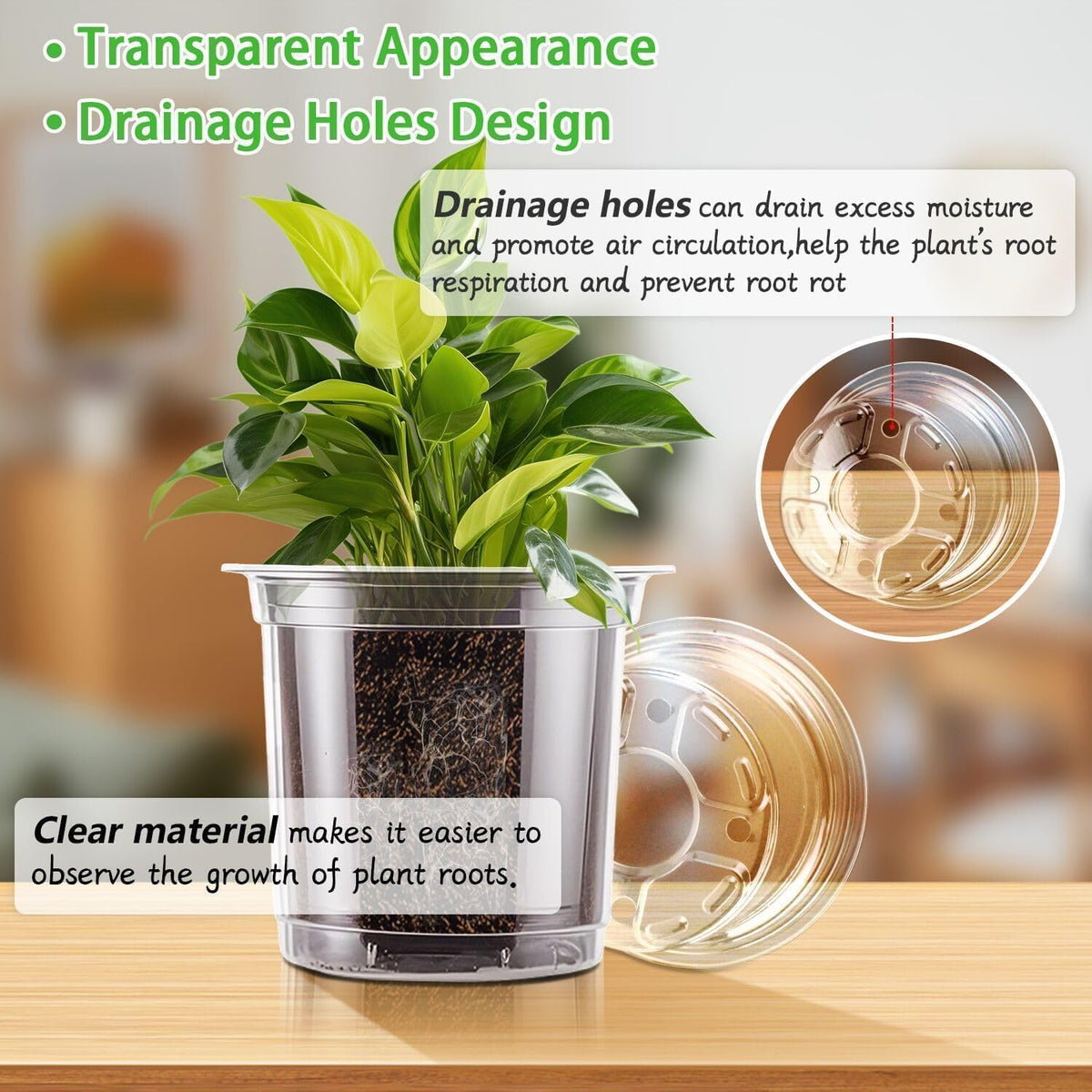 SupKing 3.5-inch transplant pot with transparent sides to monitor roots and moisture