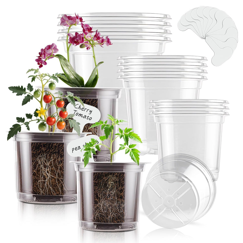 SupKing clear 6-inch nursery pot for easy transplanting and root viewing.
