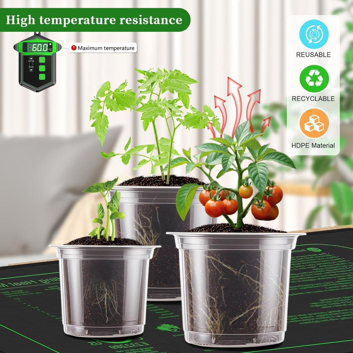 SupKing clear pots suited for flowers, herbs, vegetables, and succulents