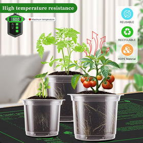 SupKing clear pots suited for flowers, herbs, vegetables, and succulents