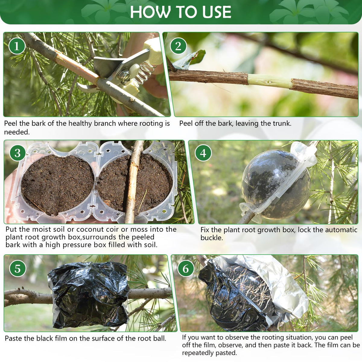 SupKing cutting globe design supports stronger roots and faster growth