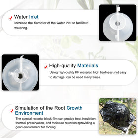 SupKing propagation system enables damage-free cloning from a parent plant