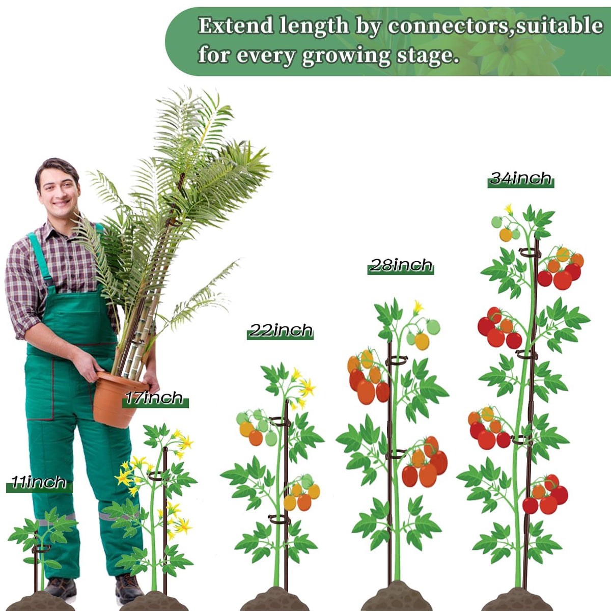 Durable fiberglass sticks resist rot and rust in damp garden settings.