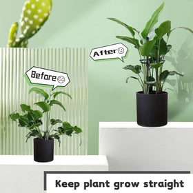 Durable, reusable plant stakes support long-term garden organization