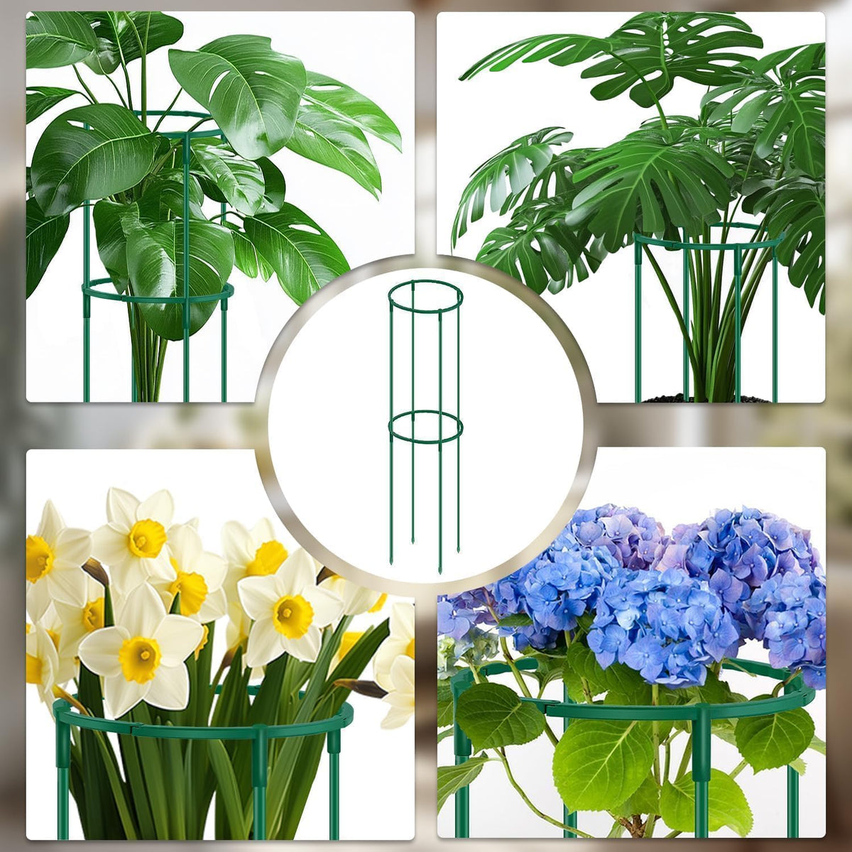 SupKing green garden trellis supports wind resistance and neat growth.