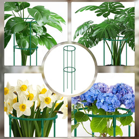 SupKing green garden trellis supports wind resistance and neat growth.