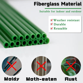 SupKing green ties simplify tying stems for neat growth.
