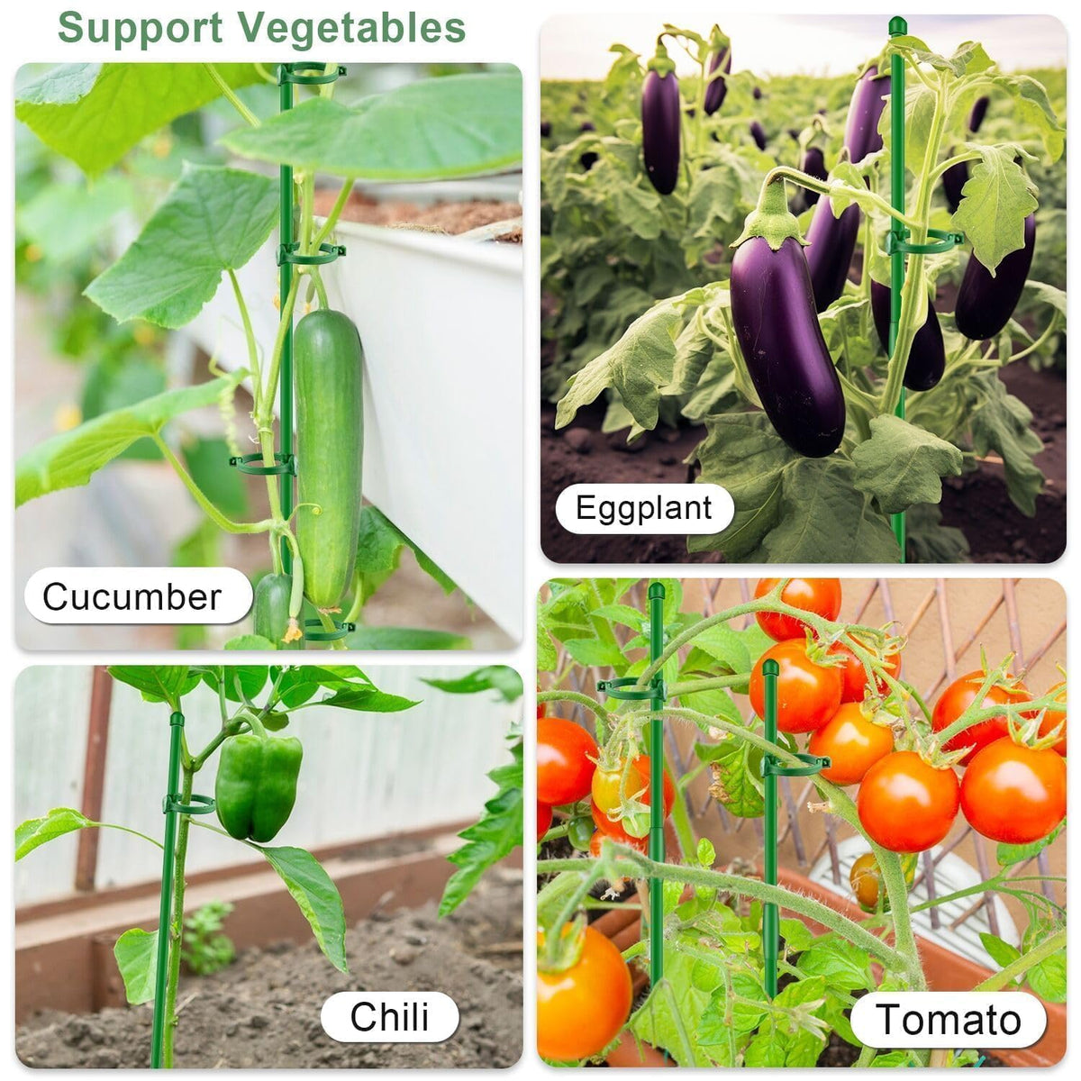 SupKing indoor and outdoor plant support suitable for tomatoes and roses.