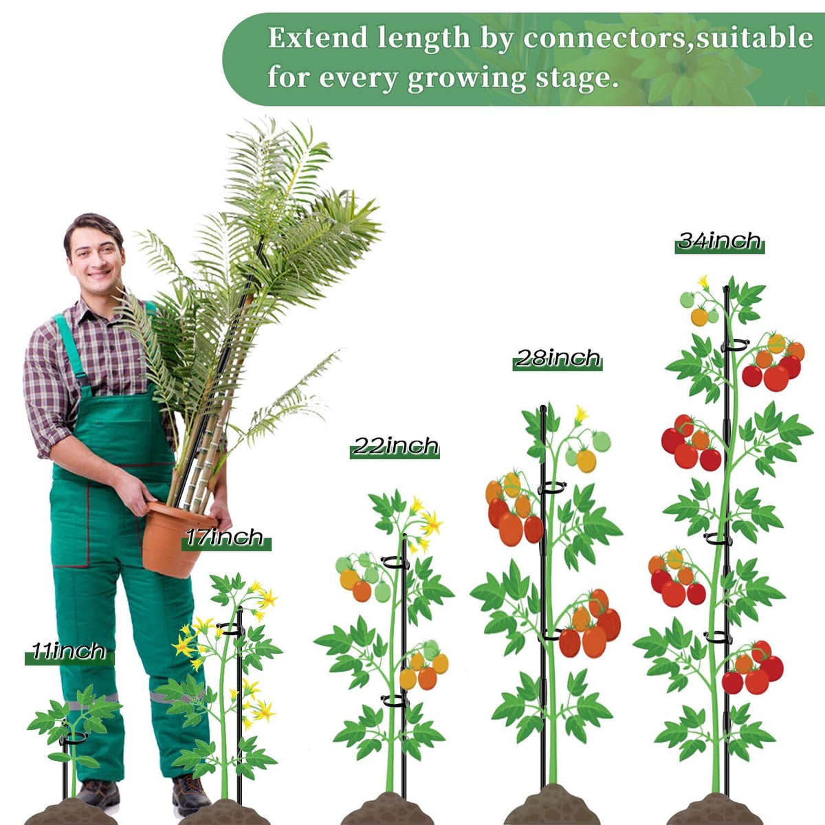 Suitable for indoor and outdoor use on tomatoes and orchids