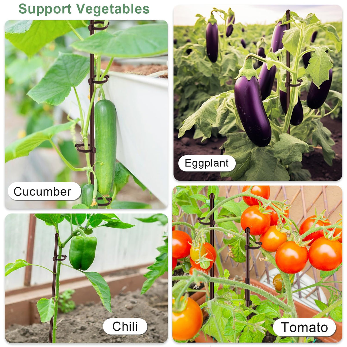 SupKing indoor-outdoor plant support suitable for vegetables, flowers, and more