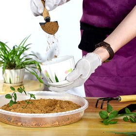 SupKing indoor-outdoor use saucer withstands sun and cold for year-round use