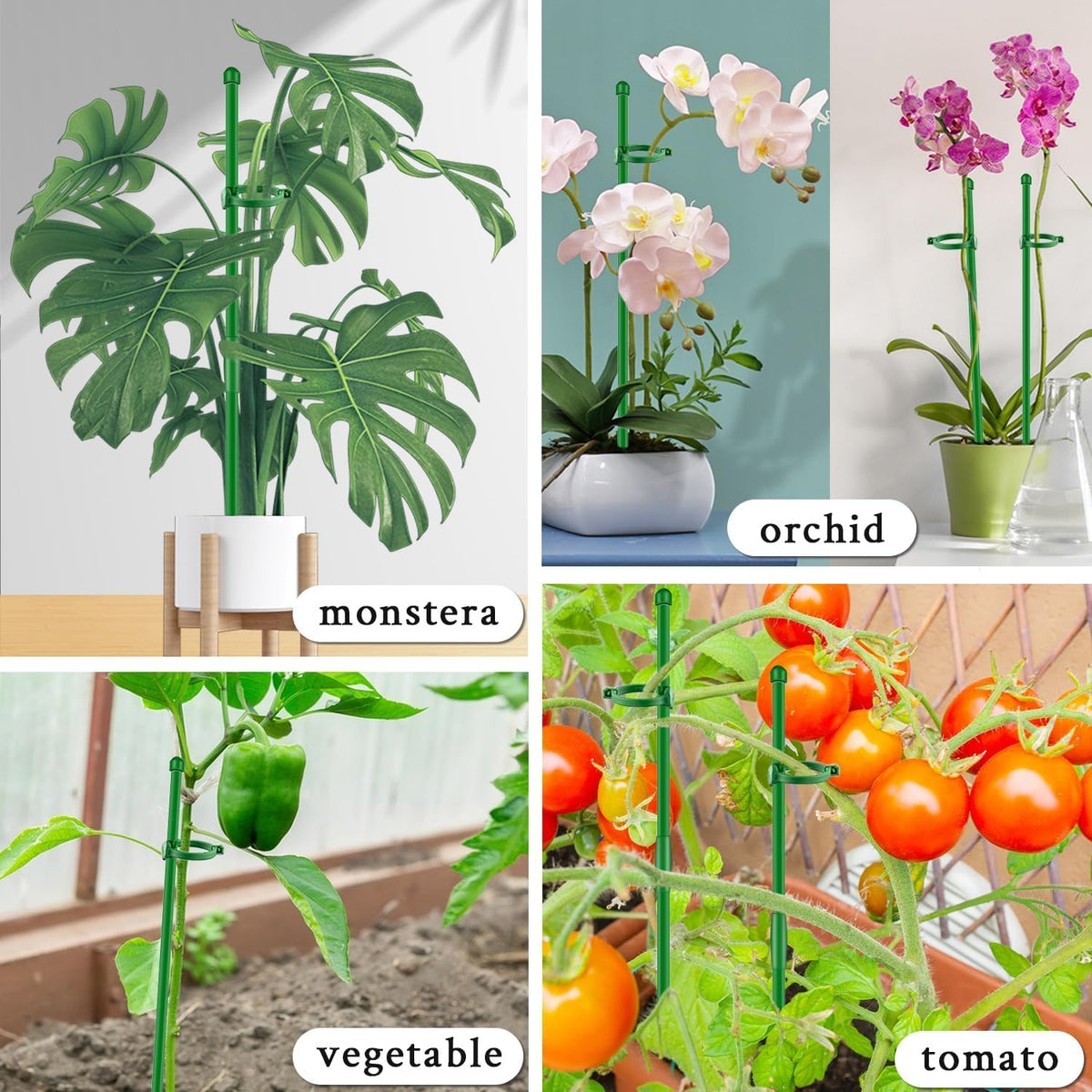 SupKing plant stakes work indoors or outdoors for balanced support.