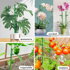 SupKing plant stakes work indoors or outdoors for balanced support.