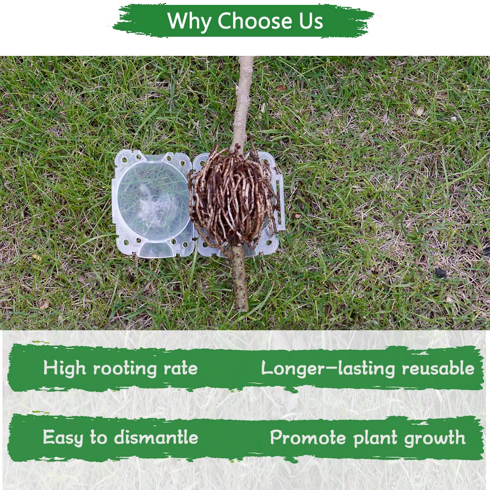 SupKing no-damage propagation pod minimizes disturbance to the parent plant.