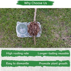 SupKing no-damage propagation pod minimizes disturbance to the parent plant.