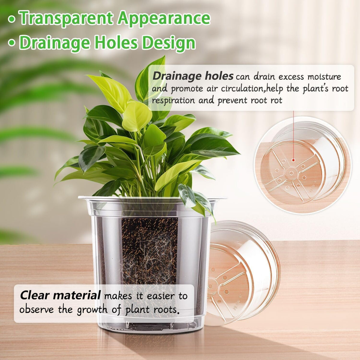 SupKing nursery pot shows drainage holes that support balanced moisture.