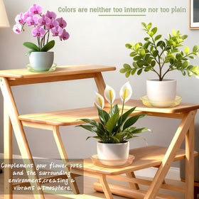 SupKing 10-inch pale pink saucer pack protects surfaces during watering.