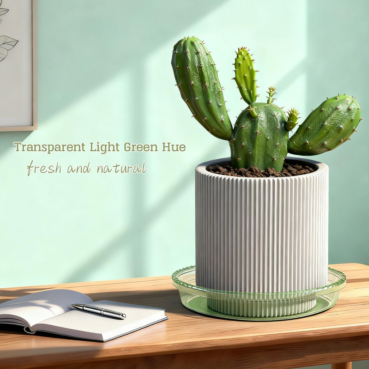 SupKing plant saucers 6 inch pale pink prevent dirt scatter while enhancing decor.