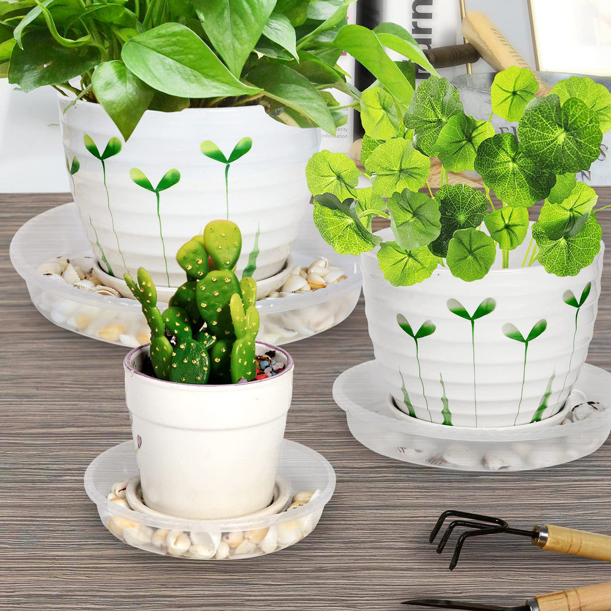 SupKing transparent saucers suit indoor or outdoor setups with style.