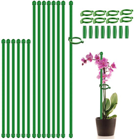 SupKing plant stake 17inch supports upright growth in home gardens.