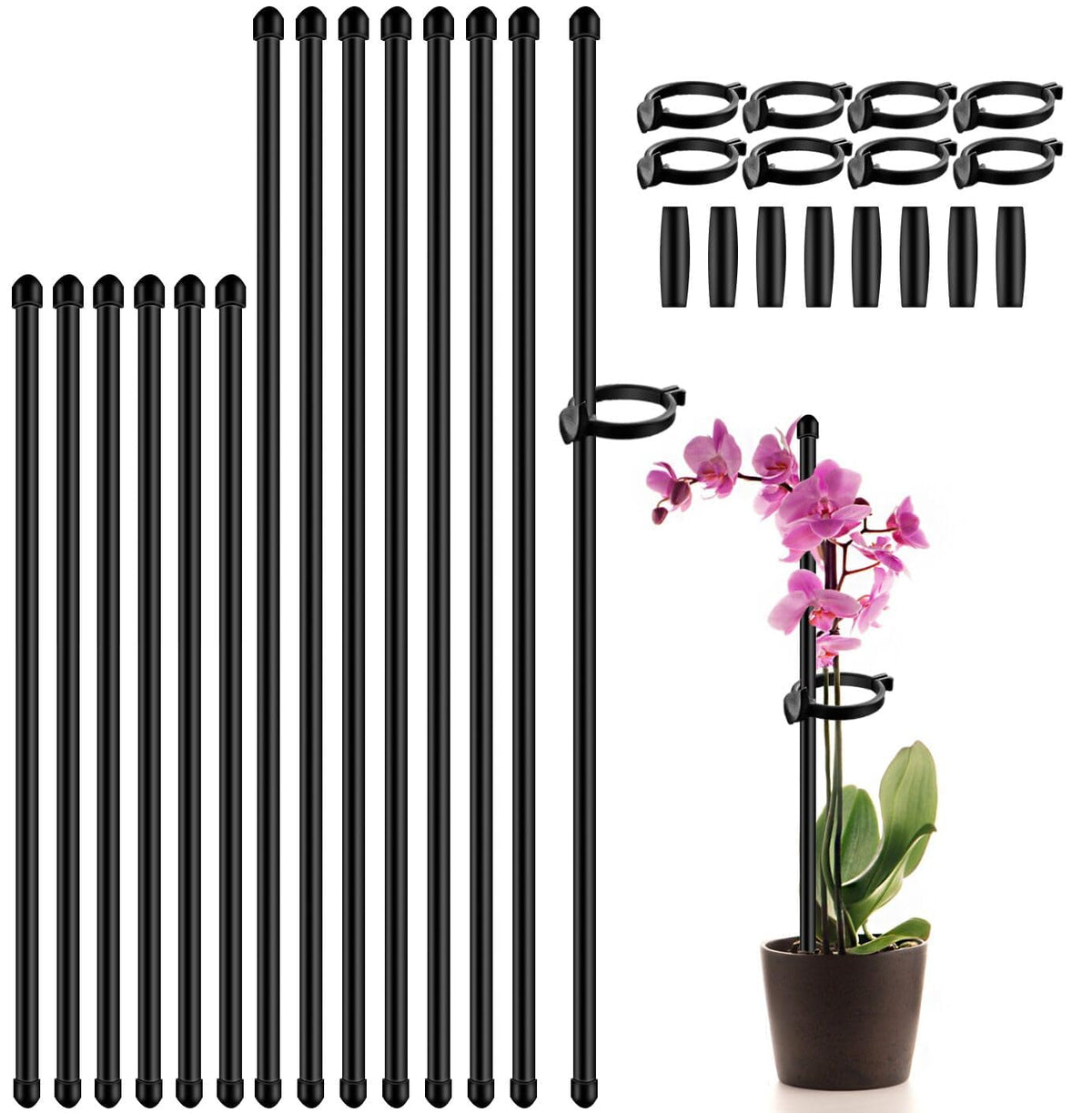 SupKing plant stakes in 17-inch and 11-inch sizes providing tall plant support