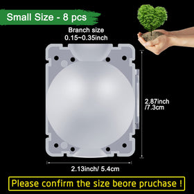 SupKing rooting balls inside a transparent pod to monitor root growth.
