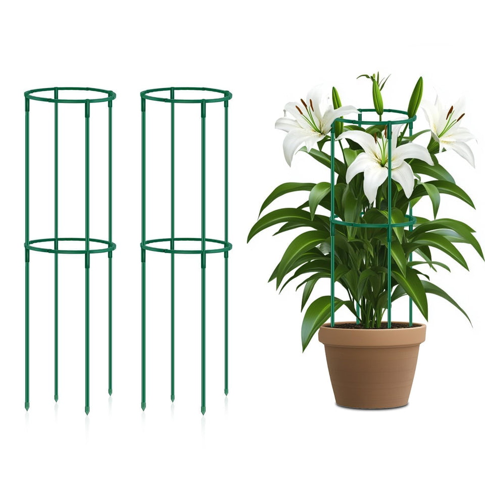 SupKing small tomato cage with two-pack and adjustable rings for sturdy plant support.
