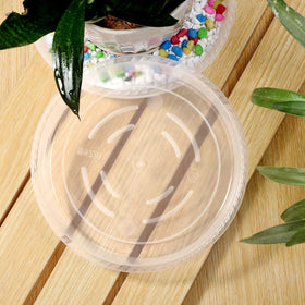 SupKing taller-edge saucer catches soil and moisture to protect surfaces.
