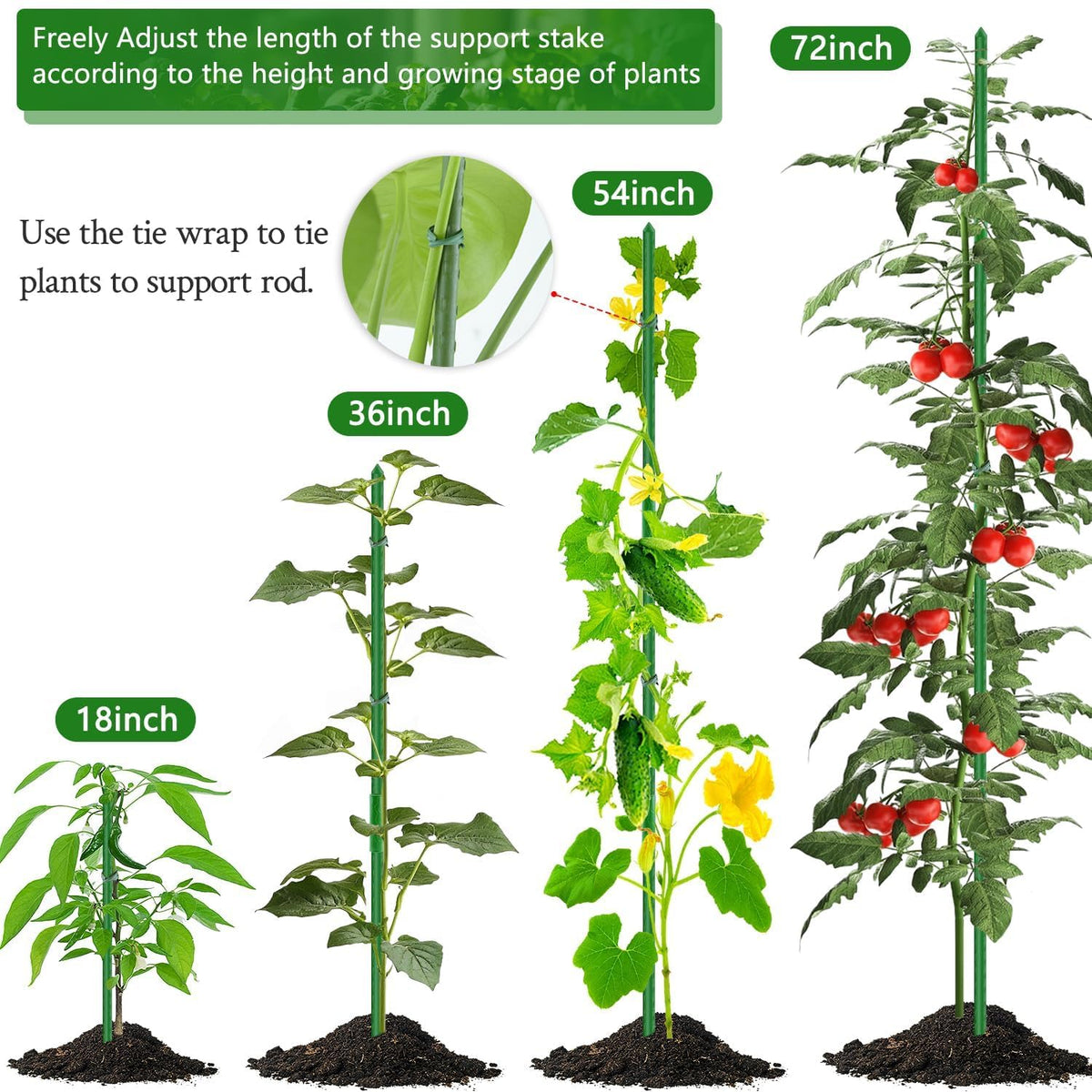 SupKing tomato-eggplant-cucumber support keeps climbing vegetables upright