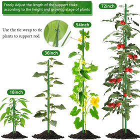 SupKing tomato-eggplant-cucumber support keeps climbing vegetables upright
