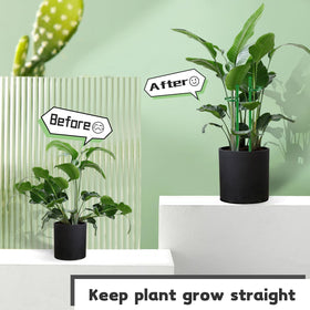 SupKing tomato or orchid plants benefit from adjustable, durable stakes.