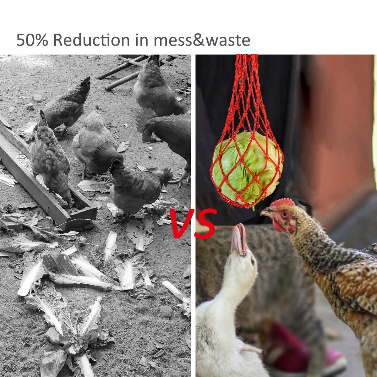 Suplklz bright color feeder attracts flock and simplifies feeding