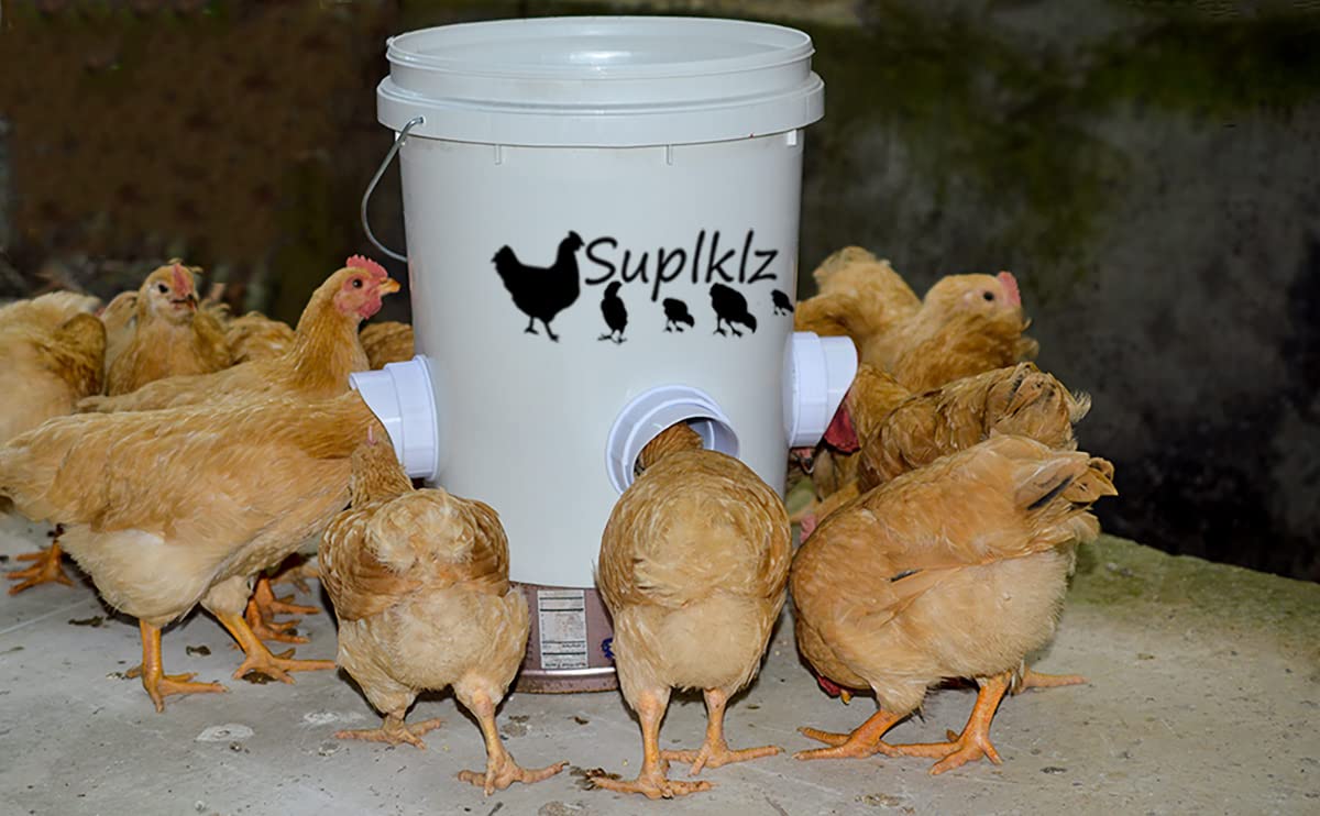 Suplklz gravity-feed system provides steady access to feed