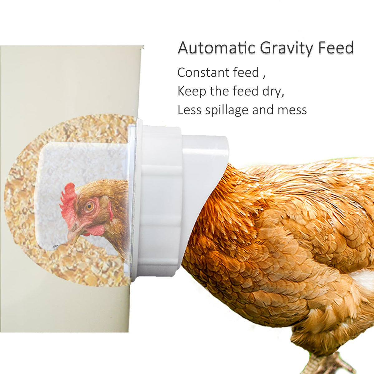 Suplklz rainproof design keeps feed dry during rain and wet days