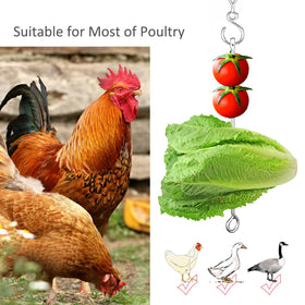 Suplklz stainless-steel feeder skewer provides rust-resistant poultry enrichment.