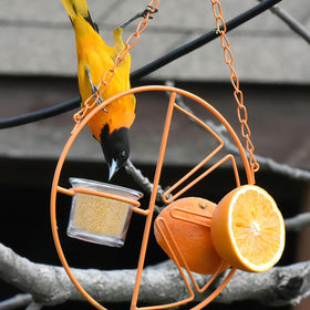 SUPVOX balcony bird feeder display for serene wildlife watching