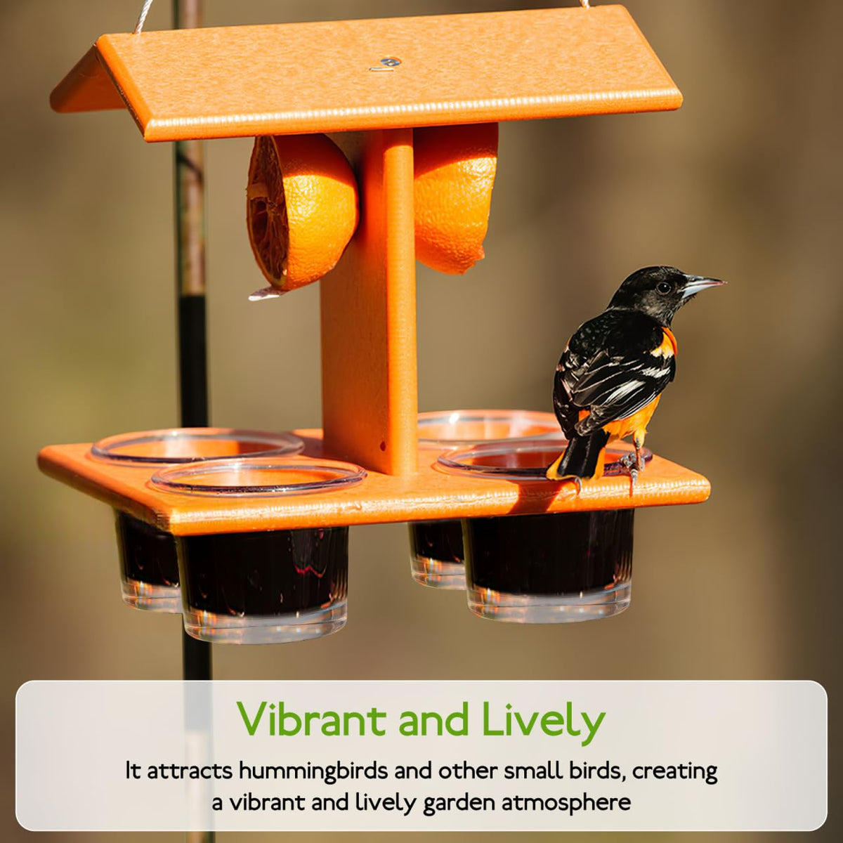 SUPVOX mini outdoor bird feeder highlighting seasonal visitors