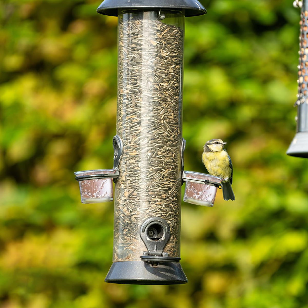SUPVOX versatile hanging feeder fits patios, balconies, gardens
