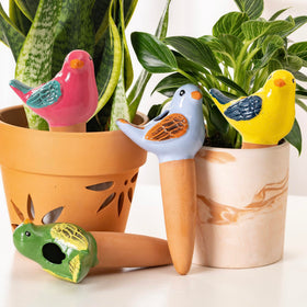 Sure Yuesi green bird globe for steady moisture in indoor plants.