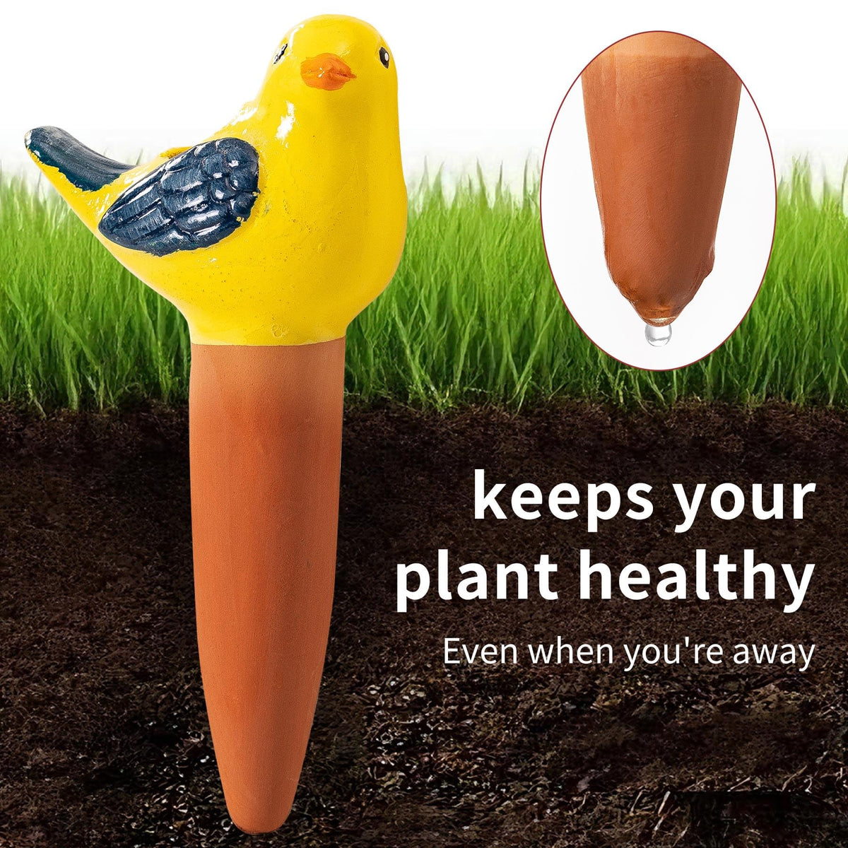 Sure Yuesi yellow bird globe keeps plants hydrated for days.