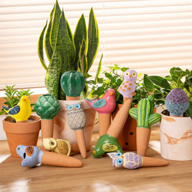 Sure Yuesi gift-ready pack with decorative terracotta bird globes.