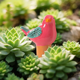 Sure Yuesi ready-to-use kit for indoor and outdoor plant care.