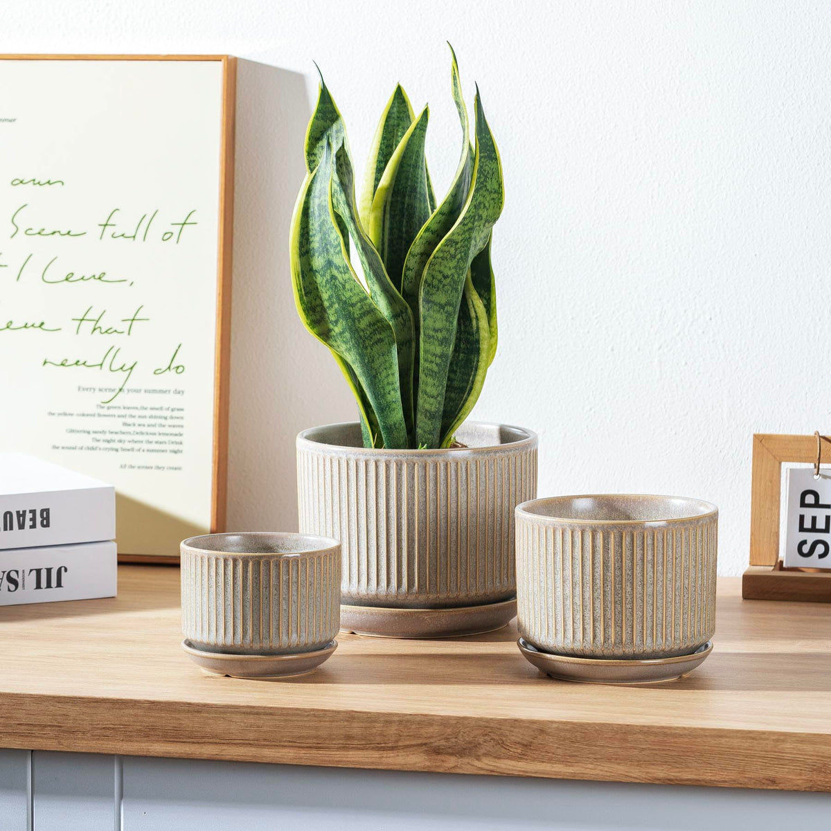 Sure Yuesi speckle gray ceramic pot medium with drainage hole for herbs.