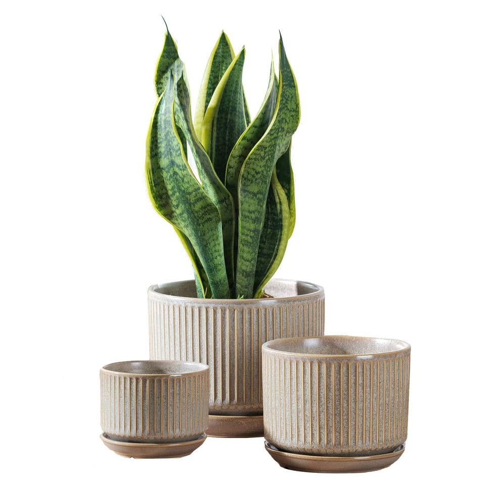 Sure Yuesi speckle gray ceramic pot small with drainage hole for compact plants.