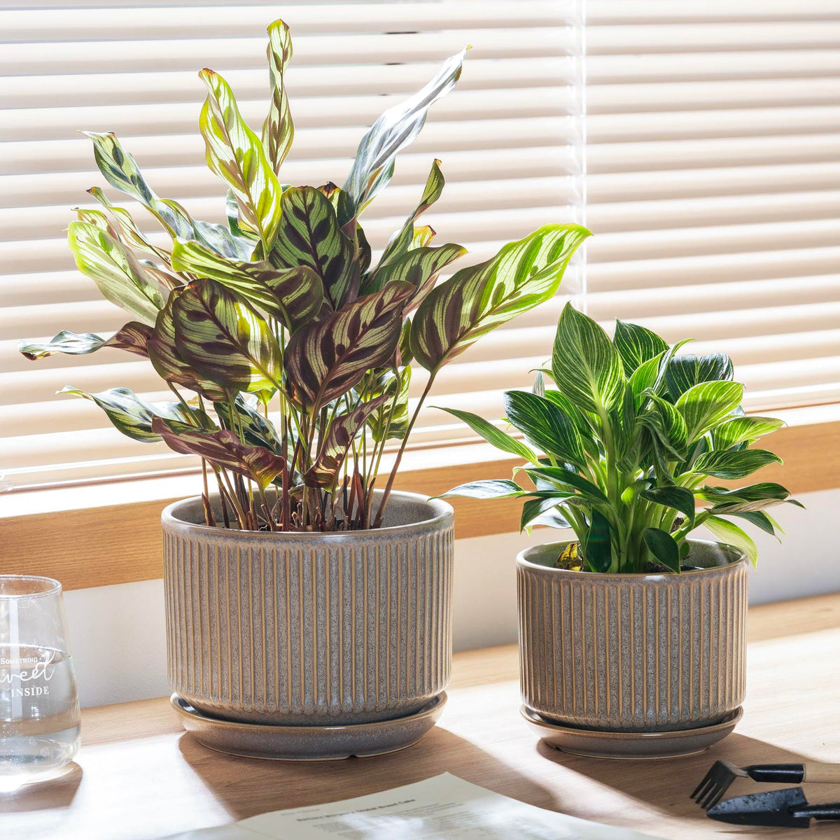 Sure Yuesi speckle gray pot with included saucer to protect surfaces.