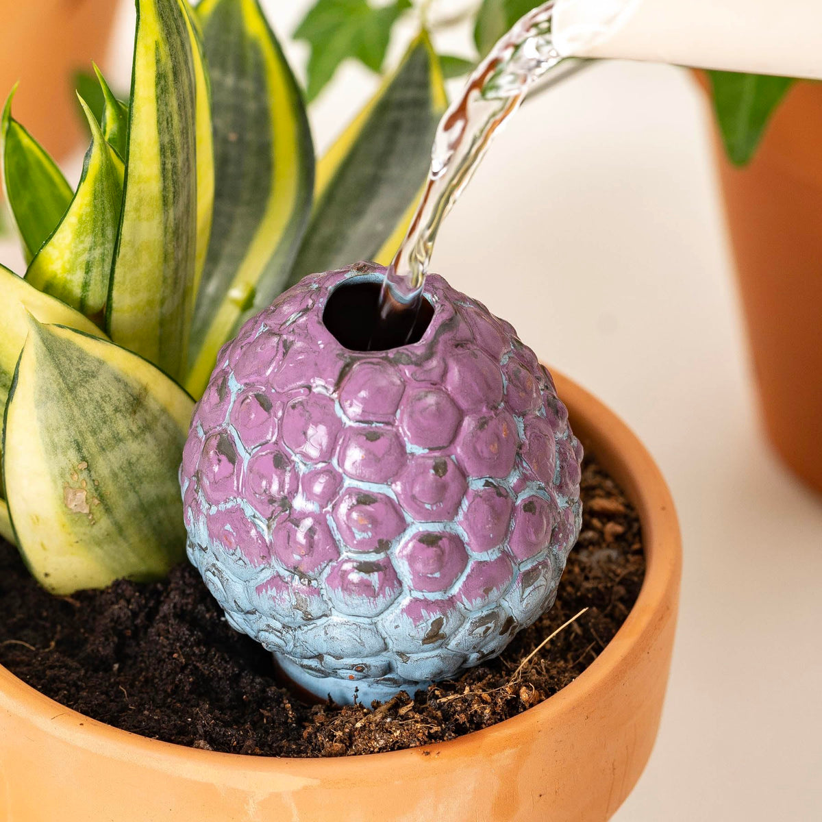 Sure Yuesi terra cotta watering spikes extend hydration up to 7-10 days per fill.
