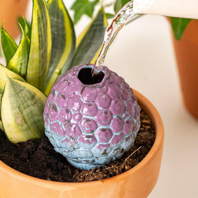 Sure Yuesi terra cotta watering spikes extend hydration up to 7-10 days per fill.