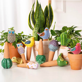Sure Yuesi cactus watering globe decorates shelves while quietly feeding roots.